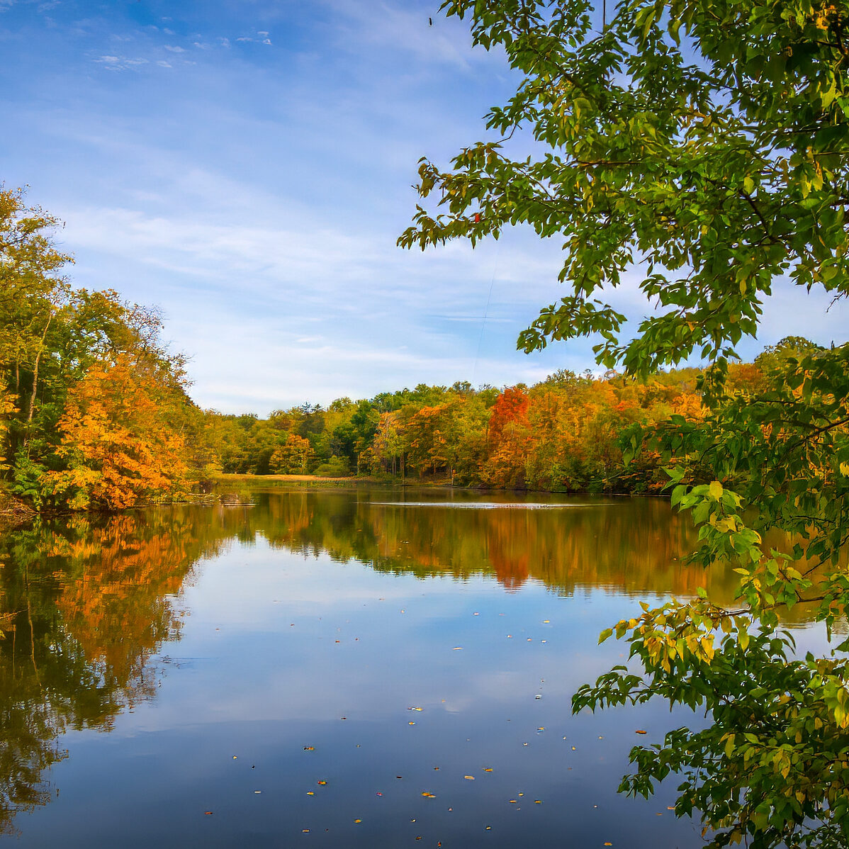 fall image at peters lake